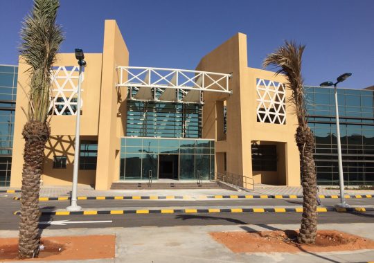Arab Open University